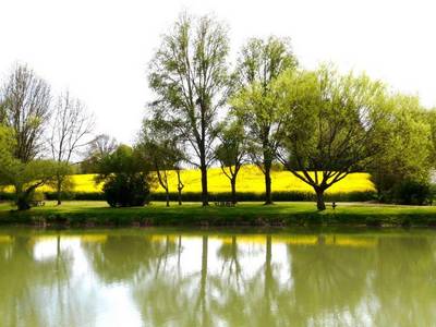 etang de vaux